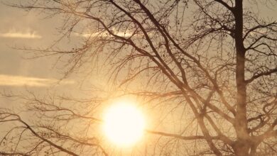 Militärexperte Keupp: „Moment der Wahrheit, wird spätestens im Winter kommen“