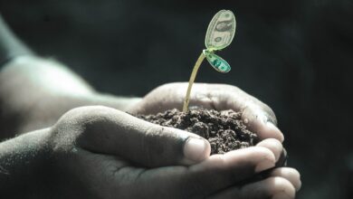 Environmental Impact of Crypto Gambling
