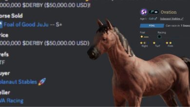 Record $50,000 horse sale shakes up Photo Finish™