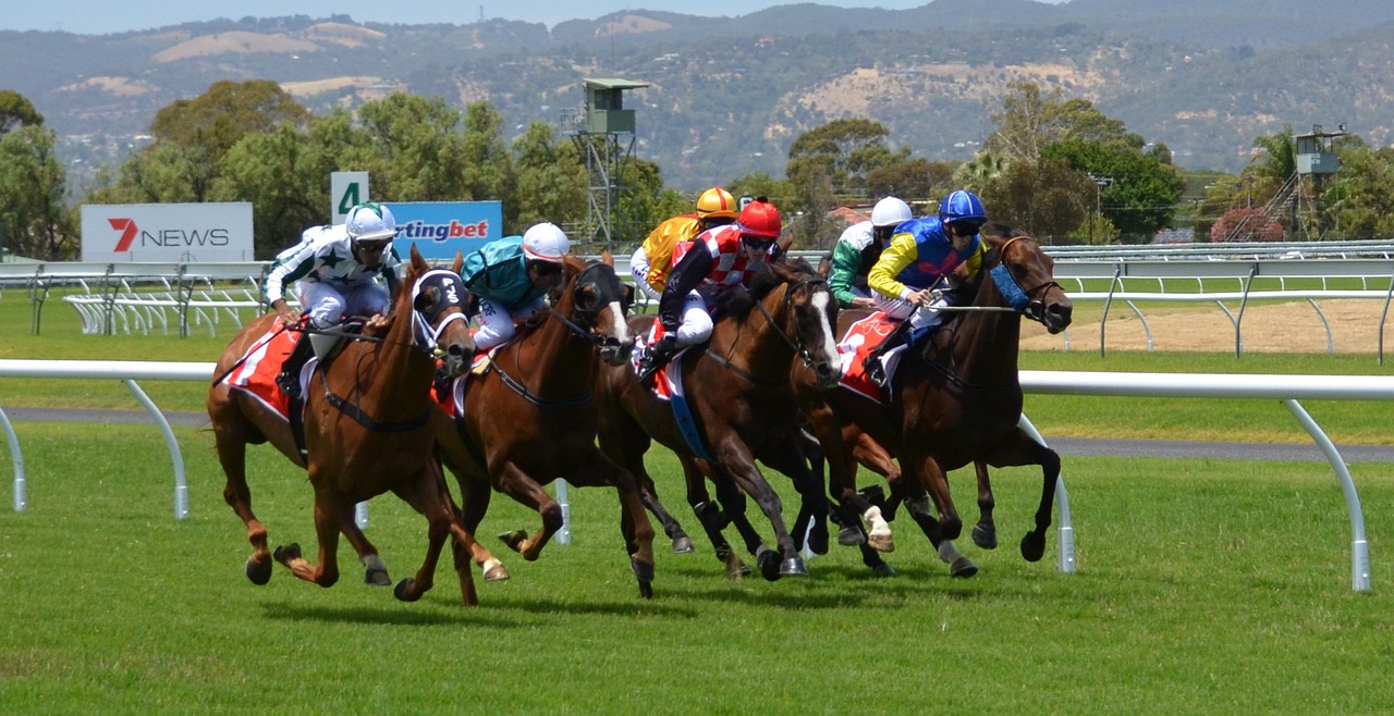 Web3 gamer turns $46 Photo Finish investment into $11,250 profit