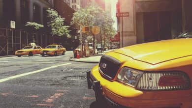 Donald Trump und E. Jean Carroll wieder in New York vor Gericht |  Politik