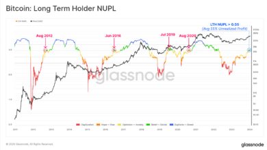 Bitcoin LTH NUPL