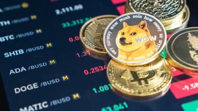 Ist dies eine Gelegenheit, mehr Meme-Coins zu kaufen?