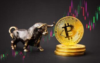 Bitcoin (BTC)