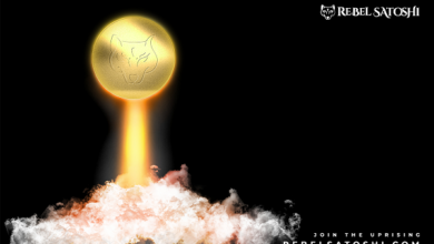 Shiba Inu steigt in die Höhe, während die Token-Verbrennung zunimmt;  Die Popularität von Polkadot und Rebel Satoshi steigt
