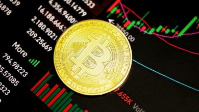 Bitcoin (BTC)