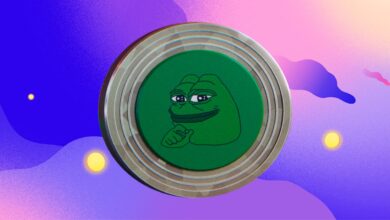 sibabudz article .jpeg