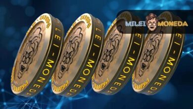 Experts are digging into Milei Moneda’s standout features: could this be the next Dogwifhat (WIF)?