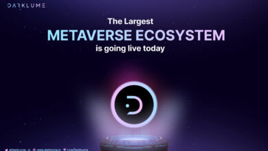 Fantasy Metaverse Darklume – Vorverkauf ist LIVE