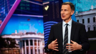 Hunt spricht von der Möglichkeit weiterer Steuersenkungen vor den Parlamentswahlen