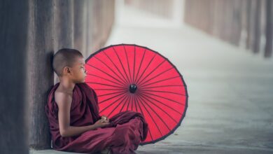 Extremhitze in Asien – längste Hitzewelle seit Jahrzehnten