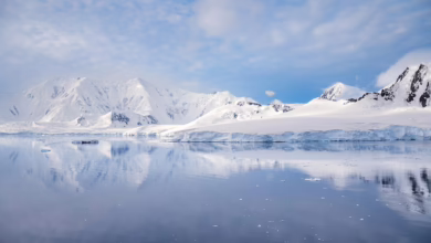 Arctic Pablo Coin: Der neue Stern am Krypto-Himmel im BSC