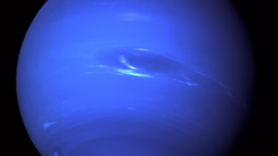 Neptune Digital Assets: Strategische Bitcoin- und Dogecoin-Akquisition