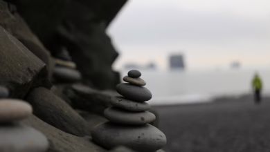 Krypto-Gipfel im Weißen Haus: XRP als Schlüssel zur Zukunft?