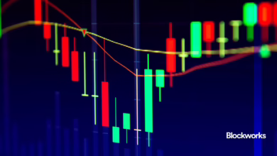Marktveränderungen: Bitcoin, Aktien und die Zukunft der Investitionen