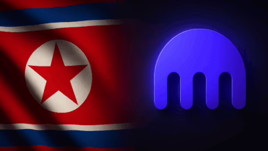 "Kraken Enthüllt: So entlarvten sie einen Nordkoreanischen Hacker"