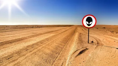 Aave unter Druck: Exodus von Ethereum führt zu drastischen Kreditkosten