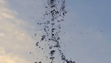 Regulatorische Klarheit: Chancen und Risiken für Krypto-Händler in der Region