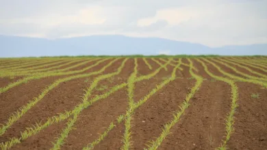 Neue Wege für Krypto: SEC präsentiert Projekt zur Marktmodernisierung