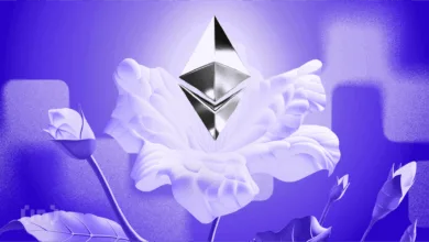 Institutionelle Investoren setzen auf langfristige Ethereum-Strategie