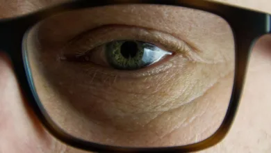 Kryptowährungen im Fokus: Erfolgsgeschichten und Trends 2025