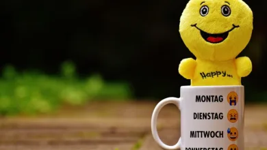Optimistische Aussichten: Altcoin-Saison steht bevor