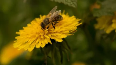 US-Wirtschaft wächst unerwartet, Märkte zeigen sich skeptisch