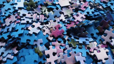 Die Herausforderung für Krypto-Investoren: Privatsphäre vs. Transparenz