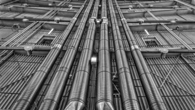 Forward Industries: Neue Dimension für Solana-Investitionen