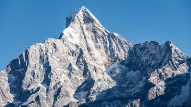 Asien als Vorreiter: Bitcoin-Prämie signalisiert Wachstumswandel