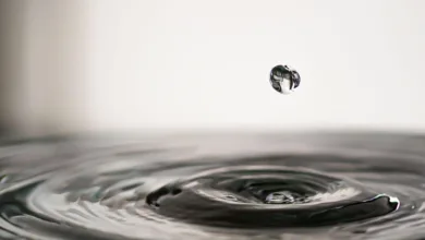 Krypto-Zukunft: Liquidity und demografische Trends im Fokus