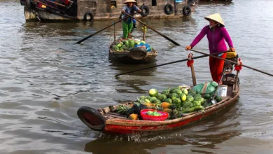 Vietnam auf dem Weg zum Krypto-Hub bis 2025: Ein Blick darauf