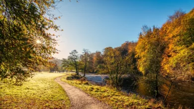 Oktober bringt Krypto-Boom: Litecoin und Stellar im Aufwind