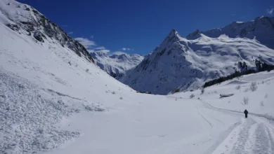 Altcoins im Aufschwung: BNB, Solana und Avalanche im Fokus